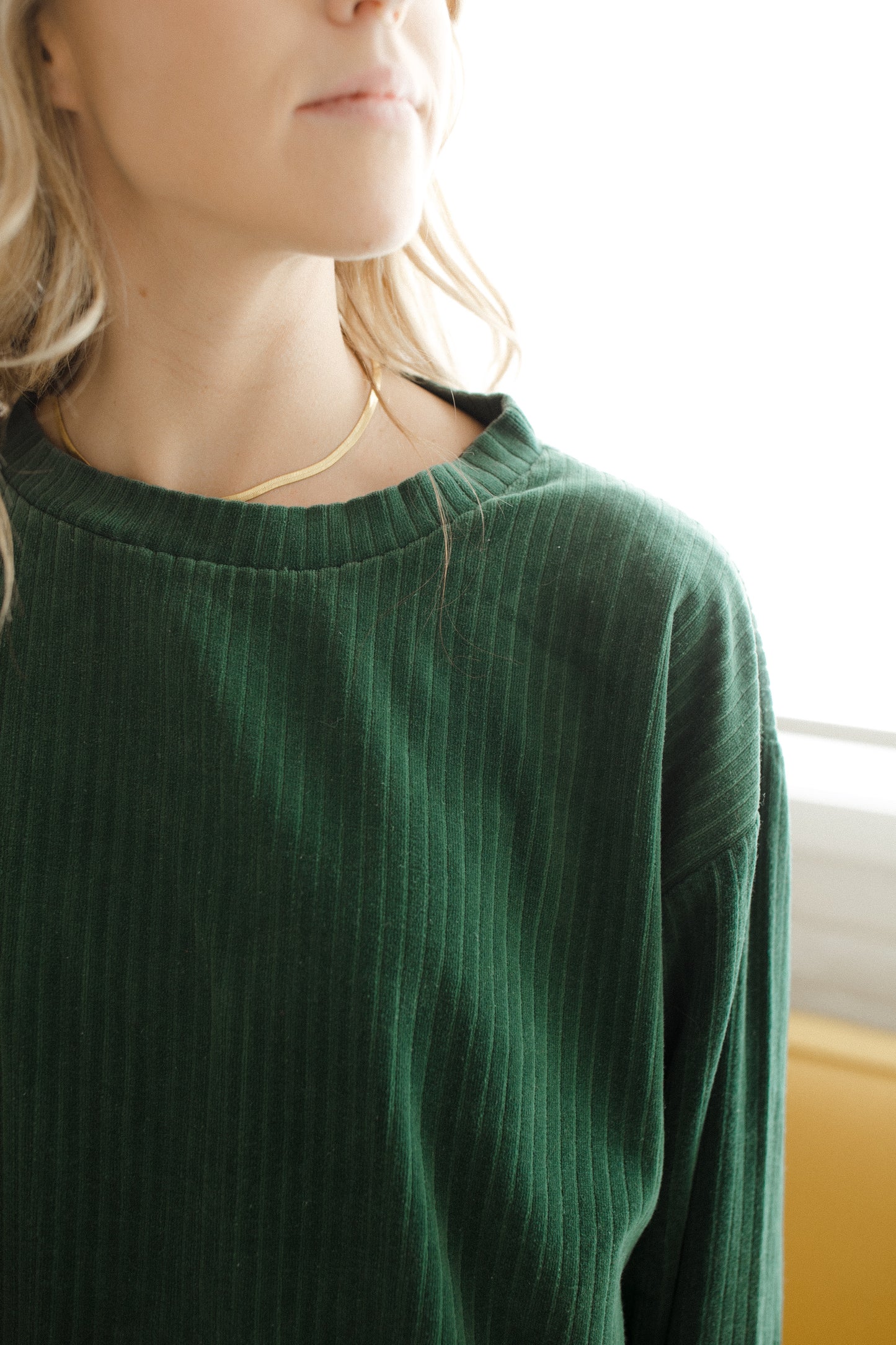 Velvet Mock Neck Longsleeve